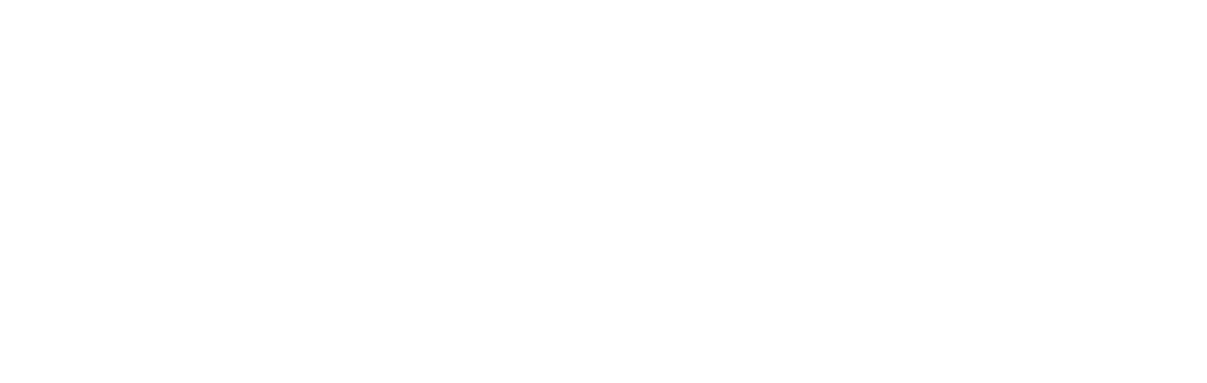 BD&L Strategy for Oncology Leadership 